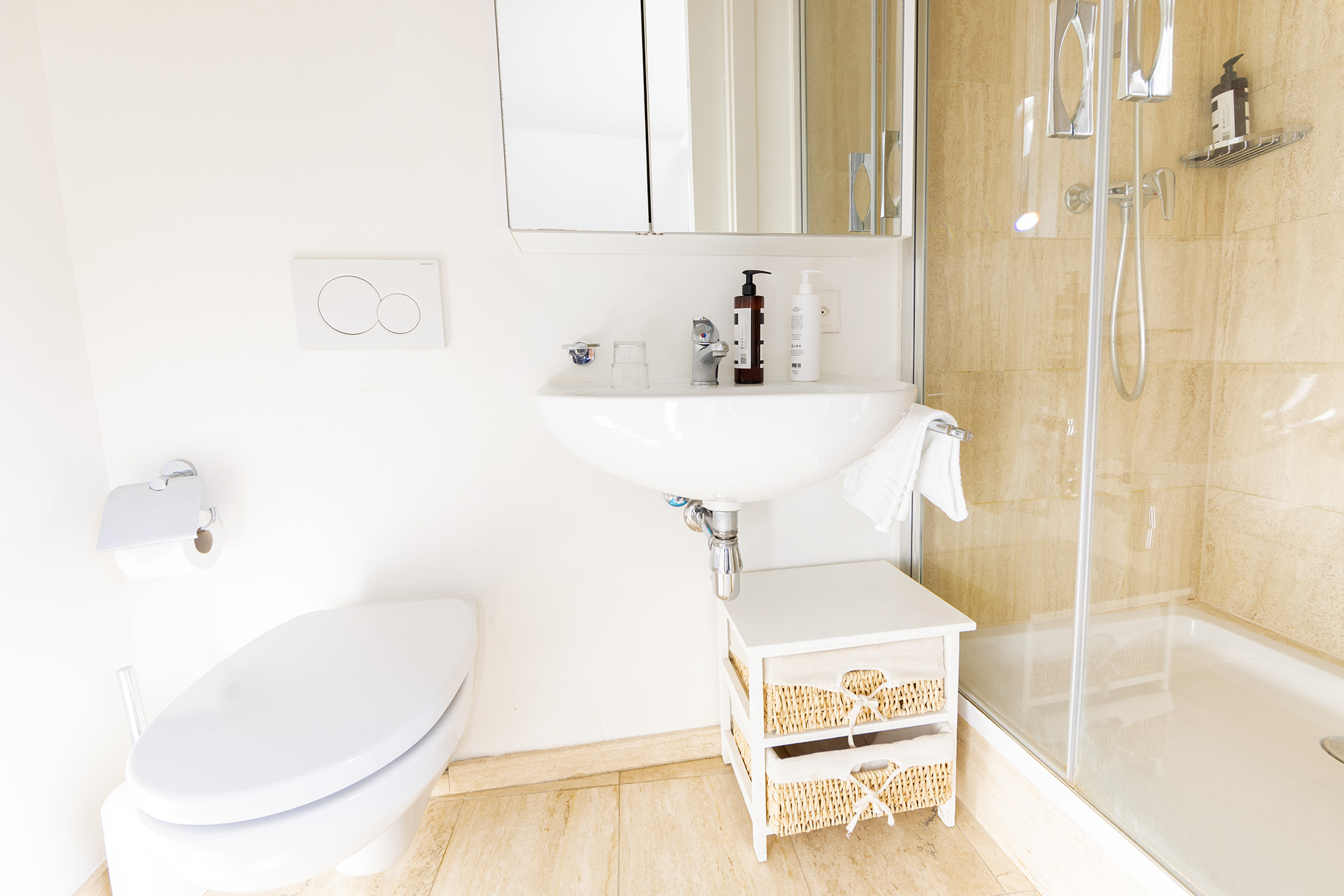 Attic Apartment Bathroom